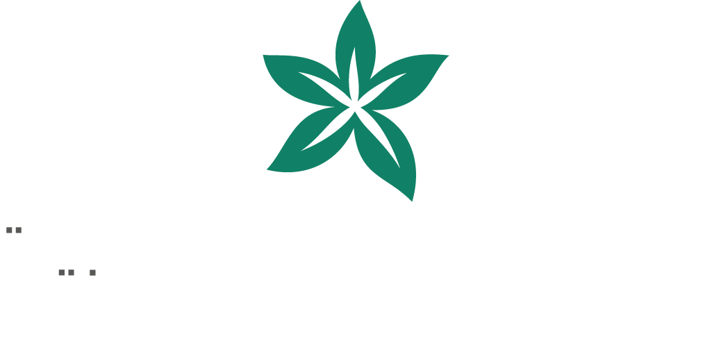 CWE